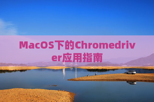 MacOS下的Chromedriver应用指南 MacOS下的Chromedriver应用指南